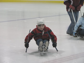 Sledge hockey picture